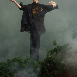 taiji13